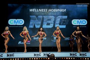 WELLNESS НОВИЧКИ